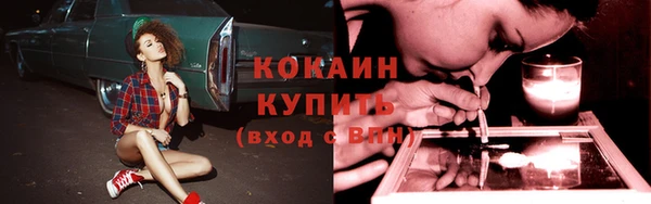 jwh Алзамай