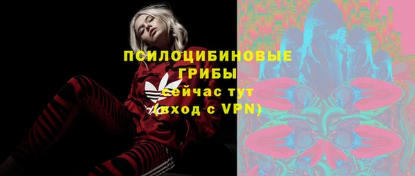 первитин Алексеевка