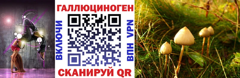 как найти   нарко площадка телеграм  Псилоцибиновые грибы Psilocybine cubensis  Дмитров 